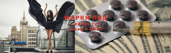 прущие грибы Чекалин